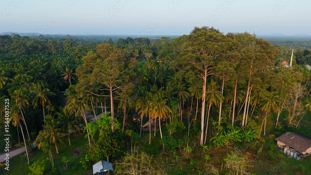 Palm oil plantations envelop the rural tourism resort in Thung Kha in Thailand
