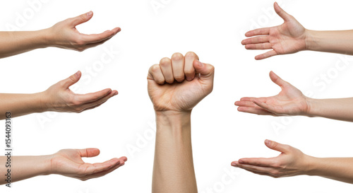 Collection of Human Hands Open Palms Closed Fist Gestures.