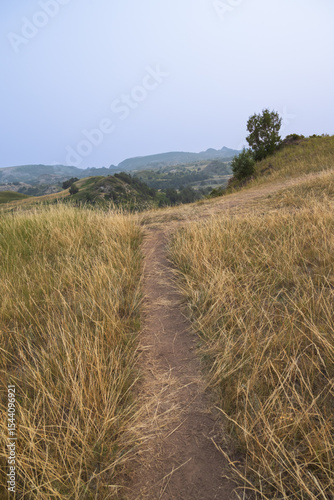 Path through tall grass with mountain background