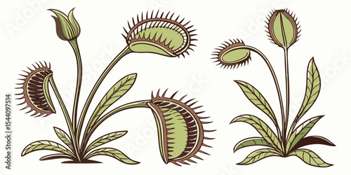 Venus flytrap silhouette vector illustration of carnivorous plants botanical drawing for design and art