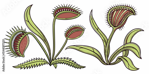 Venus flytrap silhouette vector illustration carnivorous plant drawing botanical artwork black and white design