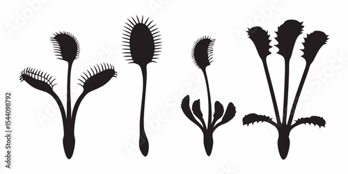 Venus flytrap silhouette vector illustration of carnivorous plants botanical drawing for design and art