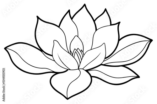 Beautiful lotus flower illustration on a white background, a floral vector design showcasing nature's beauty