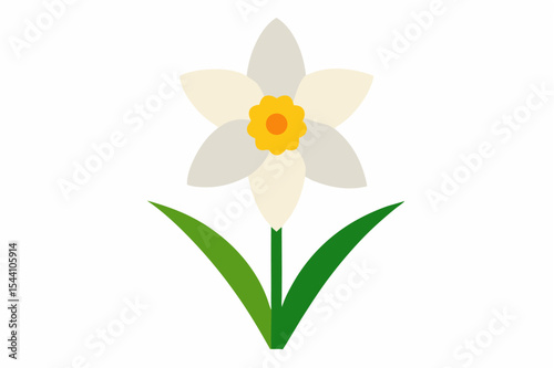A vibrant yellow daffodil, or narcissus, blooms in isolation on a white background, embodying the essence of spring