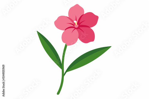 Pink flowers, including lilies, isolated on a white background, evoke the beauty of nature's spring blossom with delicate green stems and petals