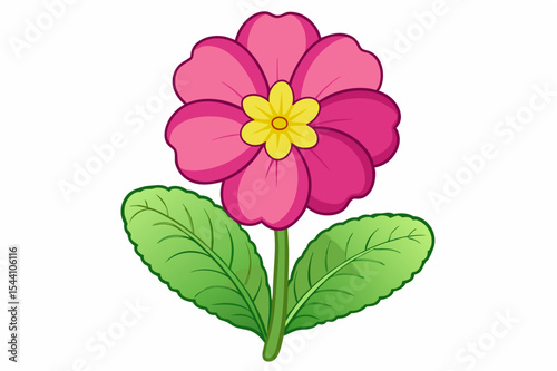 Pink dahlia flower blossom with delicate petals, isolated on a white background, showcases the beautiful flora of nature