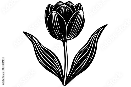 Elegant black and white tulip vector illustration, a seamless floral pattern for spring designs