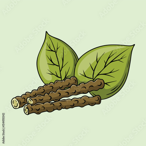 Giloy Tinospora Cordifolia with Leaves and Stems