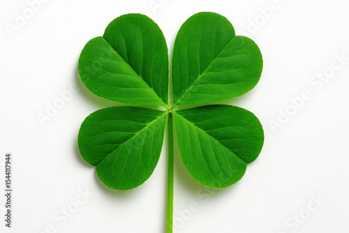 Lucky four-leaf clover symbol isolated on pure white background for good fortune