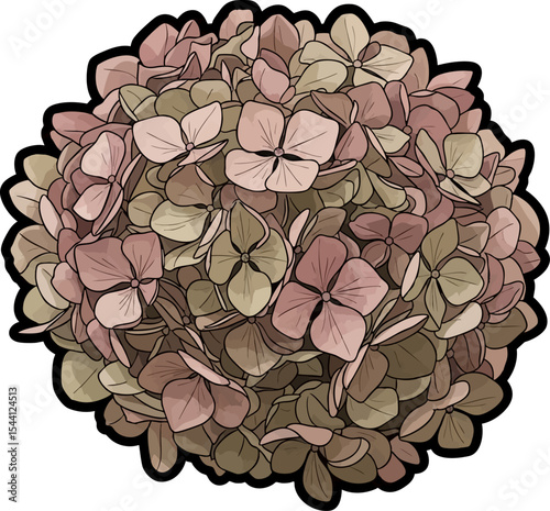 dired plant clip art vector