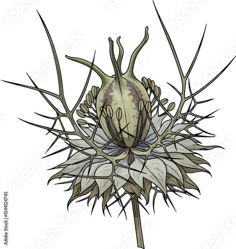 Gemini_Generated_Image_s5p3dxs5p3dxs5p3