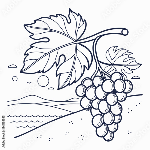 Vineyard grapes coastal landscape line art illustration
