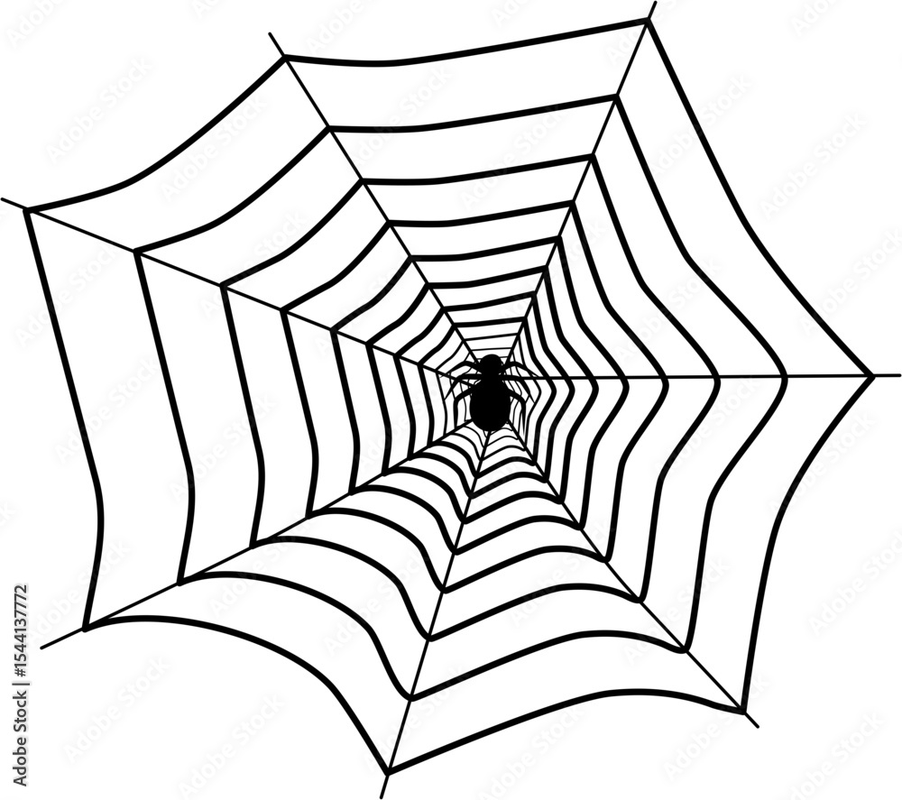 Fototapeta premium Intricate Spiderweb Design with Central Spider Silhouette