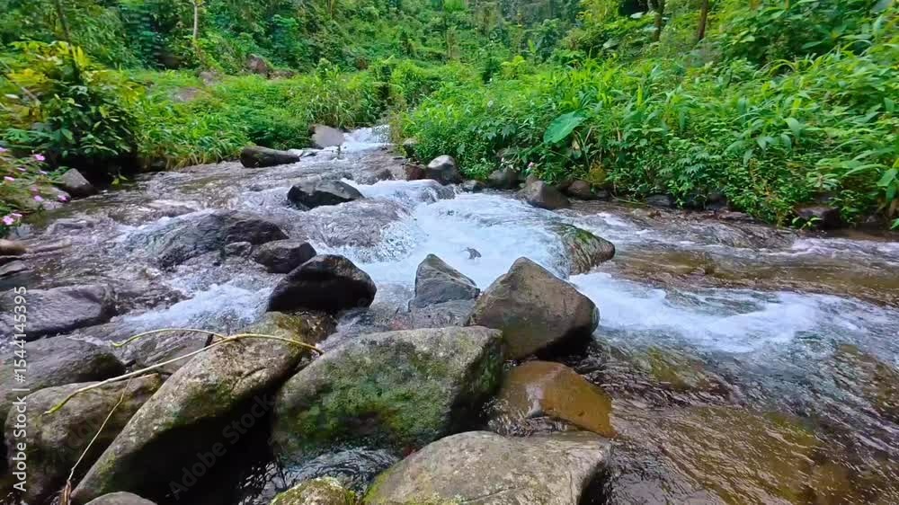 The harmonious flow of water in a pristine ecosystem.
No audio. The harmonious flow of water in a pristine ecosystem.
No audio.