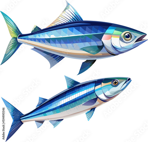 A herring fish with sleek silver-blue color, isolated on white Background