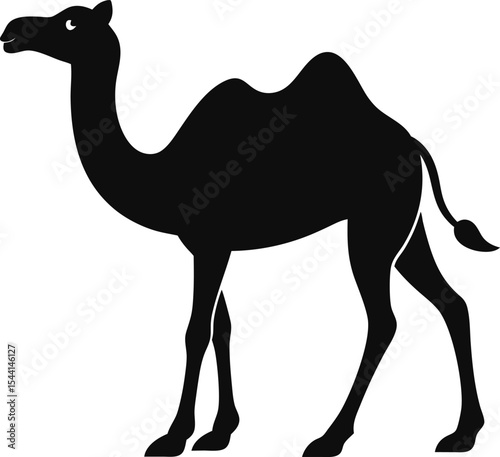 Animal and Bird Silhouettes, Wildlife and Pet Icons, and vector