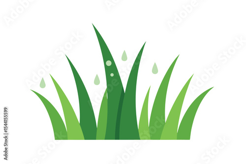 Vibrant Green Grass Blades with Dew Drops Nature's Freshness