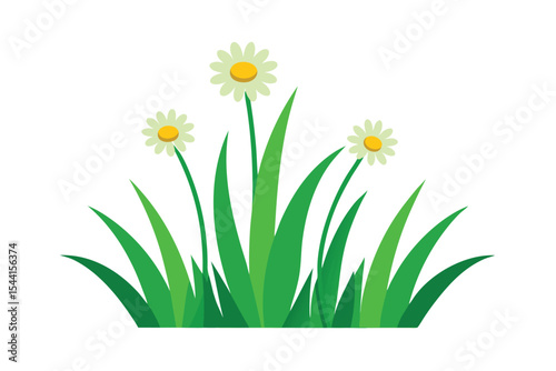 Vibrant Spring Meadow Daisies and Lush Green Grass Illustration