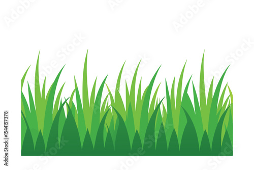 green grass on white background