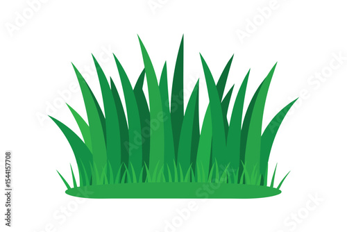 green grass isolated on white