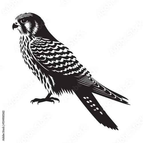 bird of prey