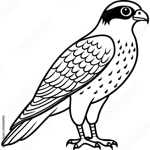 Minimal Eurasian Sparrowhawk Illustration