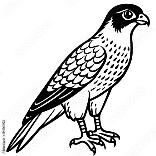 Minimal Eurasian Sparrowhawk Illustration