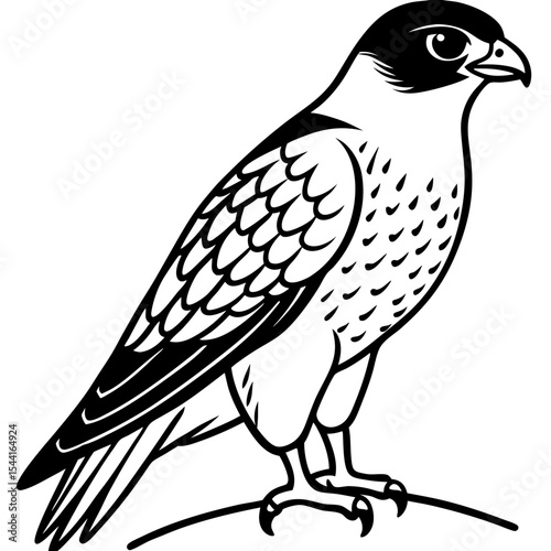 Minimal Eurasian Sparrowhawk Illustration