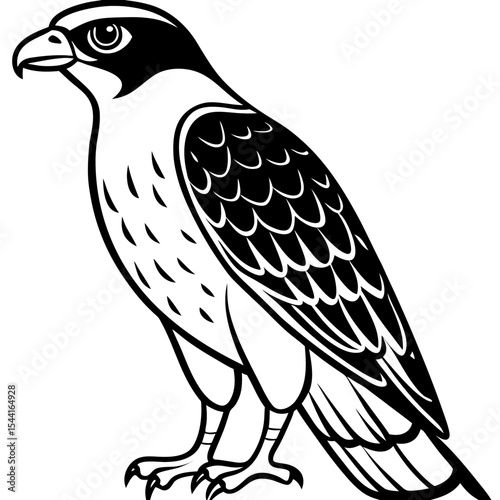 Minimal Eurasian Sparrowhawk Illustration