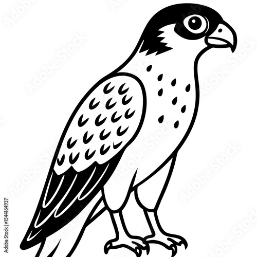 Minimal Eurasian Sparrowhawk Illustration
