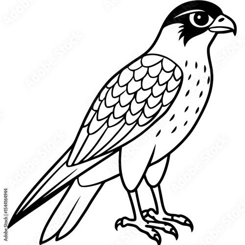 Minimal Eurasian Sparrowhawk Illustration
