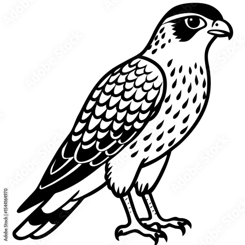 Minimal Eurasian Sparrowhawk Illustration
