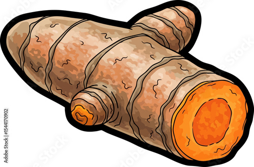 vector clip art dried Dried Turmeric Root