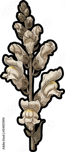 vector clip art dried Dried Snapdragon Stem