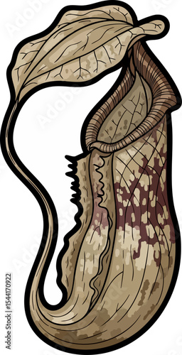 vector clip art dried Dried Pitcher Plant Leaf