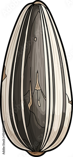 vector clip art dried A Single Sunflower Seed