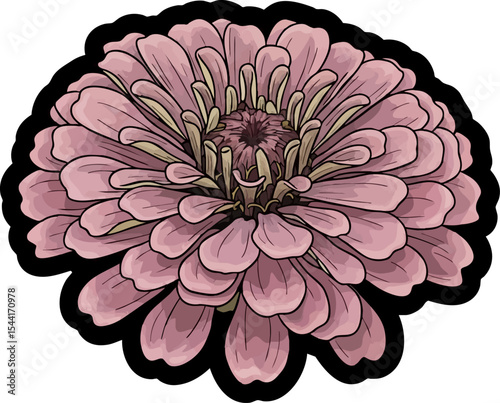 vector clip art dried Dried Zinnia Head