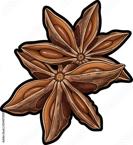 vector clip art dried Dried Star Anise Pods