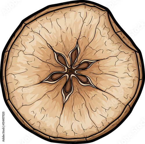 vector clip art dried Dried Apple Slice