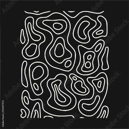 Minimilist a complex pattern of curved lines forming a diamond shape on a light background in a geometric design vector