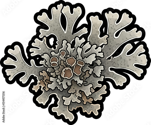 vector clip art dried Dried Lichen Cluster