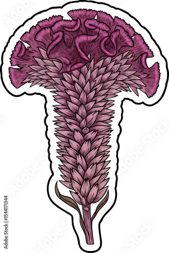 vector clip art dried Dried Celosia Plume