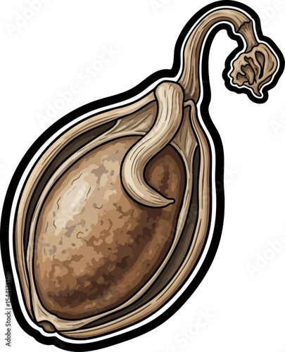 vector clip art dried A Dried Gourd Sprout