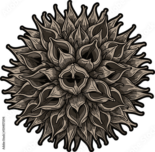 vector clip art dried Dried Sweet Gum Ball
