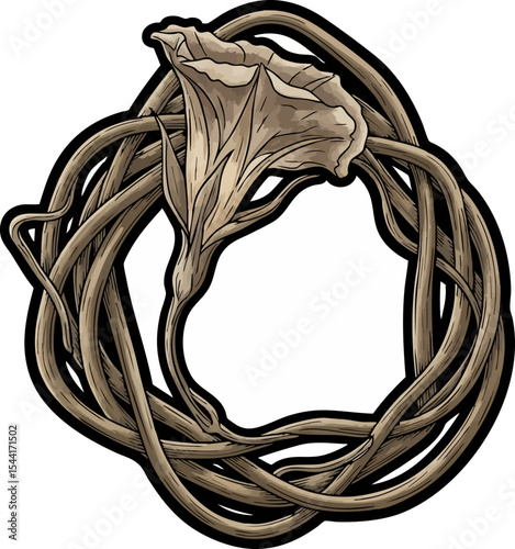 vector clip art dried Dried Morning Glory Vine