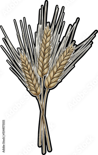 vector clip art dried Dried Barley Stalks