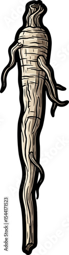 vector clip art dried Dried Burdock Root