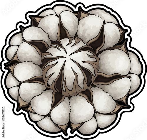 vector clip art dried Dried Cotton Rosette