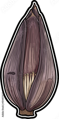 vector clip art dried Dried Banana Flower