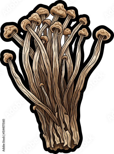 vector clip art dried Dried Enoki Mushrooms